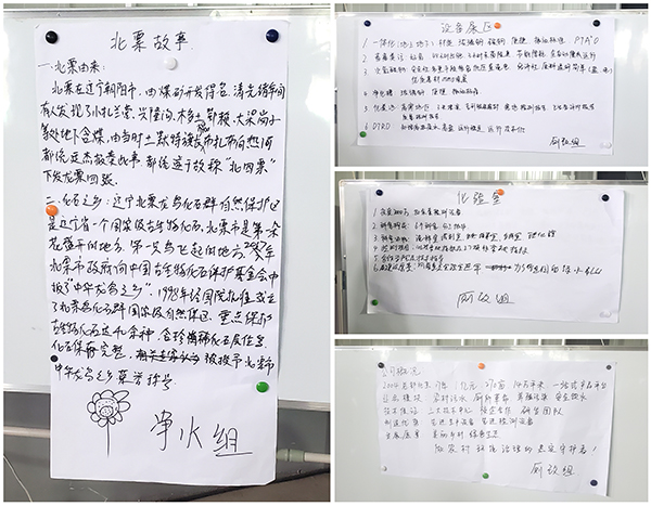 1624931981373262.jpg 1.jpg