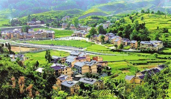 1678426353992557.jpeg 222.jpeg